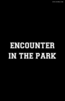 Encounter in the Park